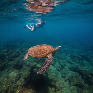 Sunset & Snorkelling Costa Rica
