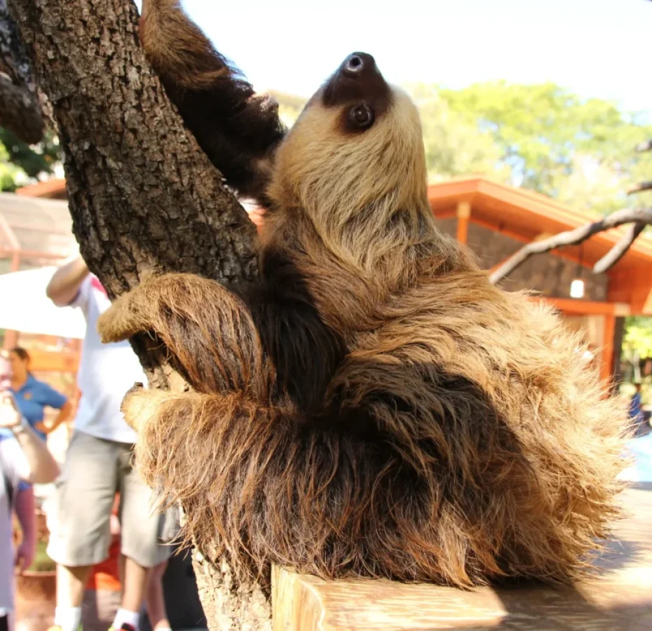 Animal-Sanctuary22-scaled-rld8q041rw87dbhi061ee8jhzesc5pzoglws5aq7oq