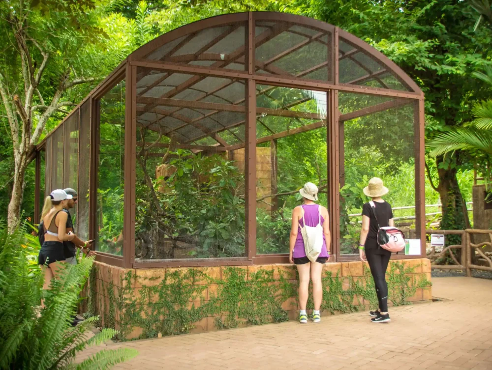 Diamante-Adventure-28