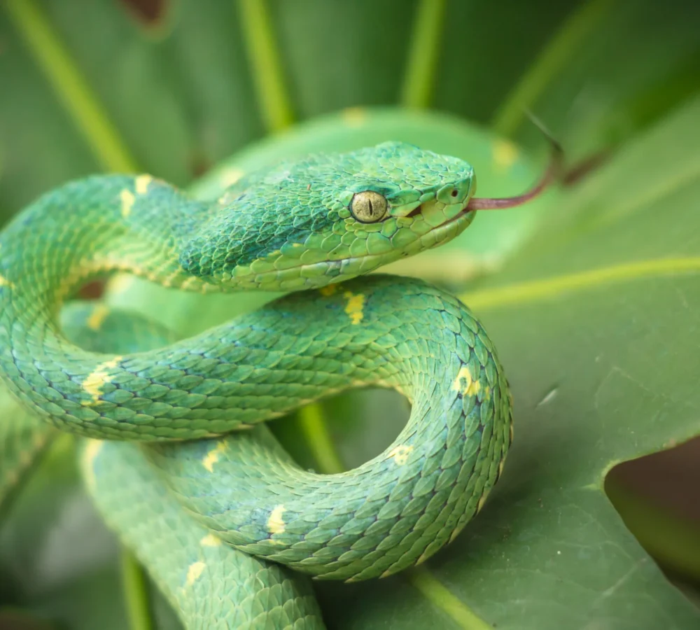 Diamantes-Animal-Sanctuary-171-scaled