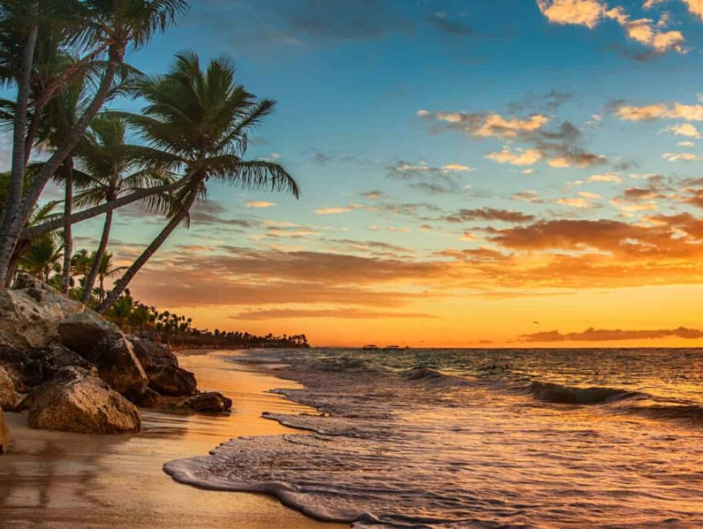 High-banner-2-use-3-2-1024x683